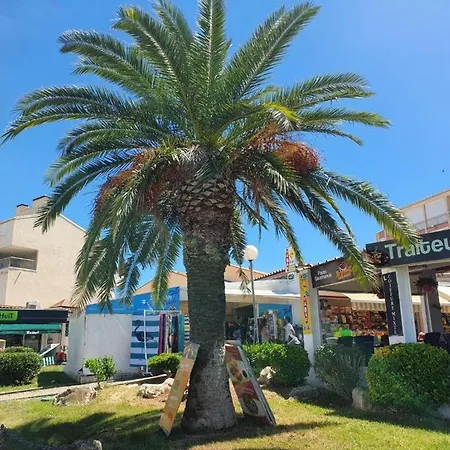 Charmant Studio En Rez-de-jardin Avec Terrasse Et Garage, Proche Plage Et Commerces - Fr-1-307-272 *