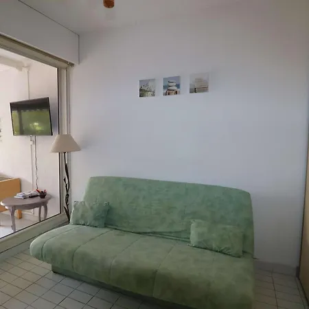 Charmant Studio En Rez-de-jardin Avec Terrasse Et Garage, Proche Plage Et Commerces - Fr-1-307-272 Le Grau-du-Roi